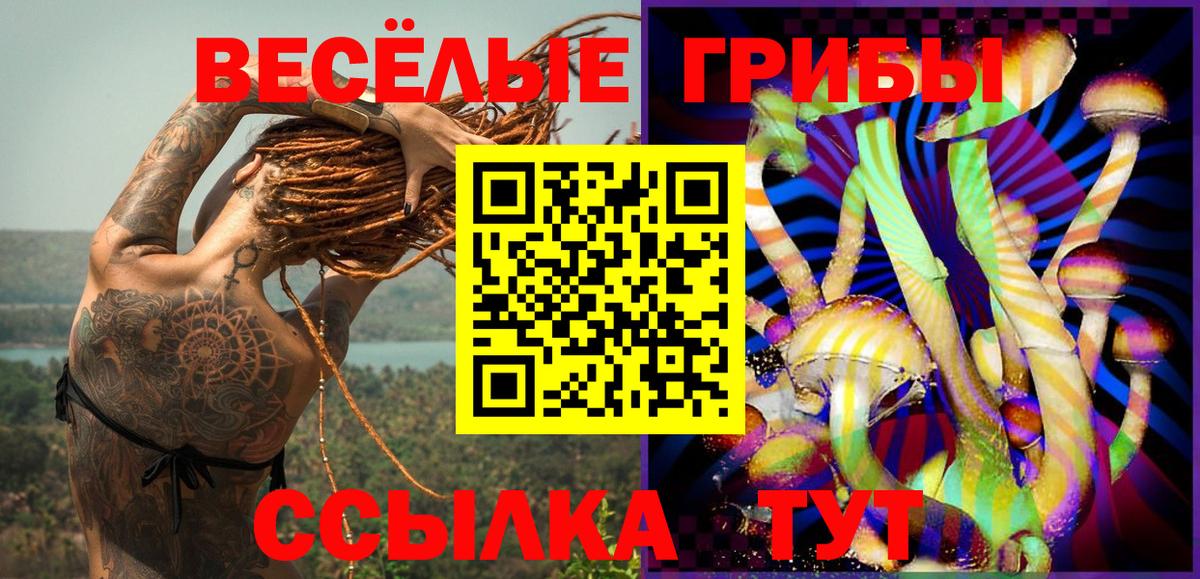 Псилоцибиновые грибы Psilocybine cubensis  Вход с VPN  Псилоцибиновые грибы Psilocybe  Северск 